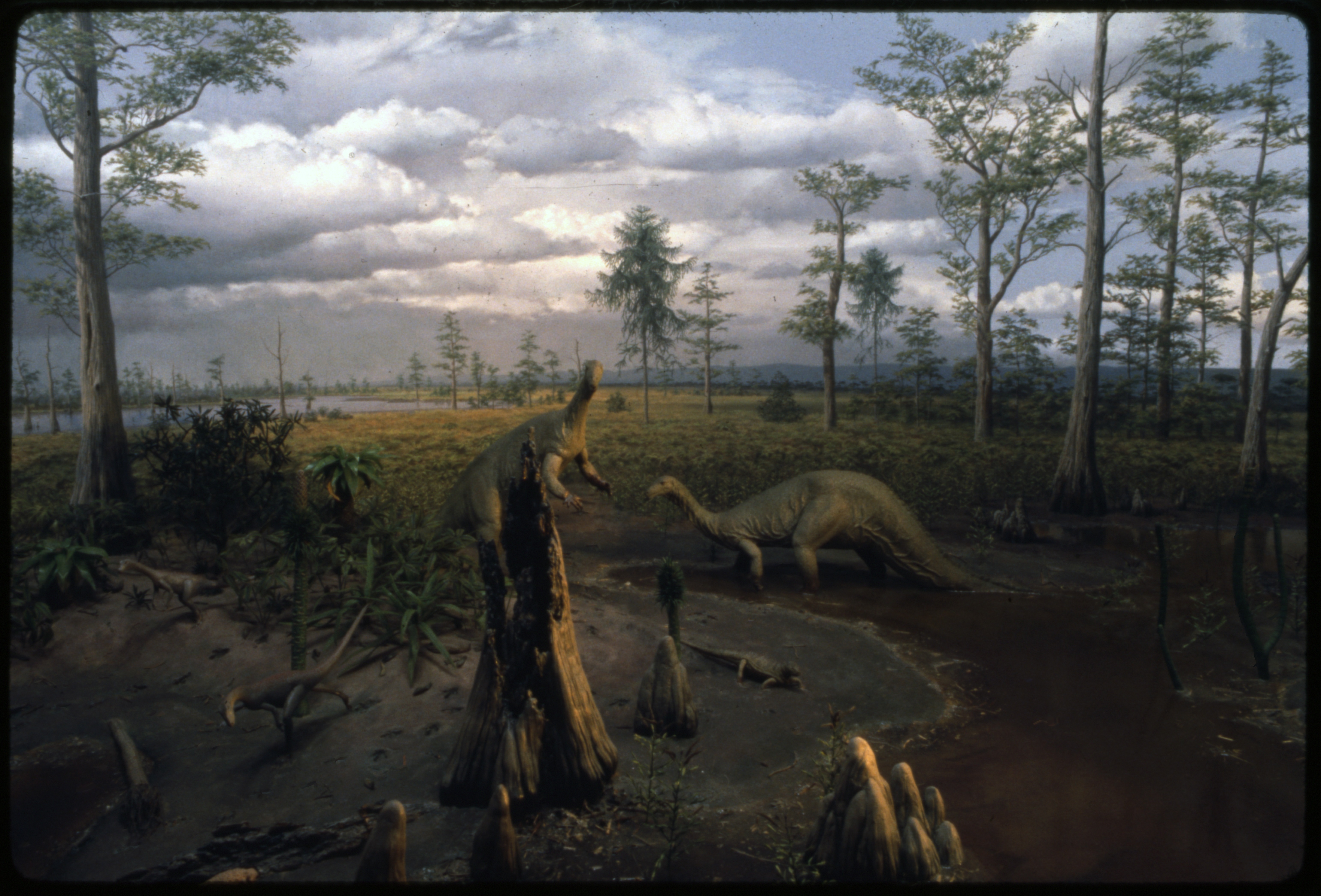 Triassic Diorama at National Museum of Natural History, 1973, by Jack Scott. Smithsonian Institution Archives, Acc. 11-009, Image no. 73-10190. Green backdrop with models of dinosaurs.