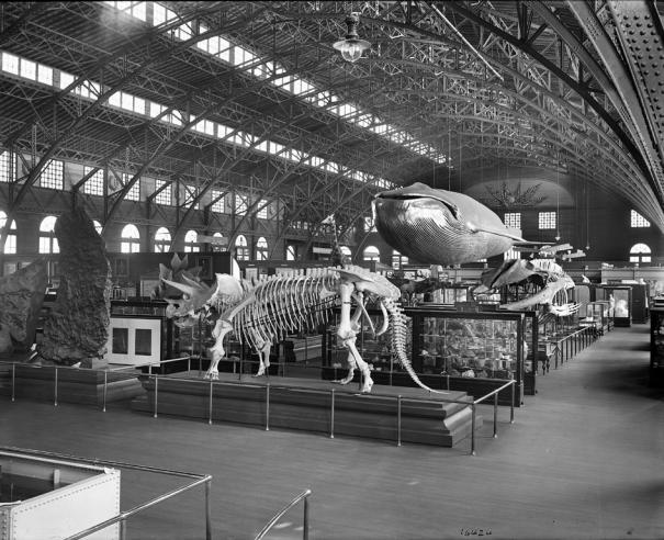 Louisiana Purchase Exposition in Saint Louis, Missouri, 1904.