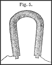 Click on sketch of Henry magnet