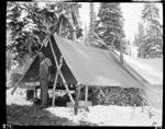 Walcott Camp at Burgess Pass, August 1910