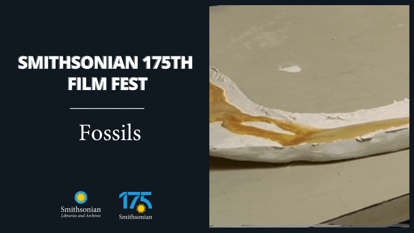 Promo GIF. On the left is the text: "Smithsonian 175th Film Fest: Fossils." On the ride is a moving 