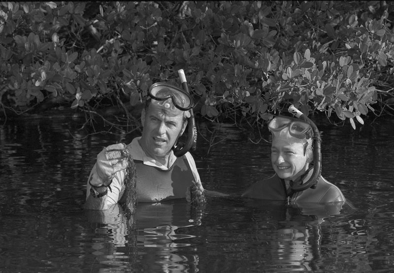 Mark and Diane Littler inspecting algae at the Smithsonian Marine Station at Fort Pierce, Florida. Smithsonian Institution Archives, Record Unit 371, Box 4, Folder February 1985.