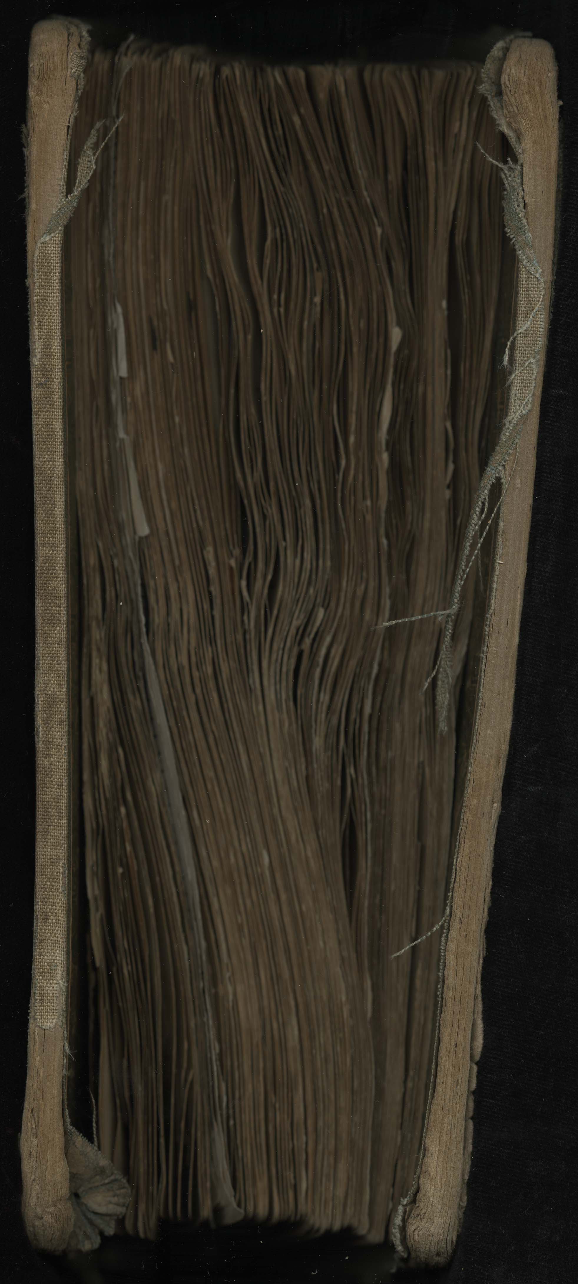 View of damaged book with warped pages.