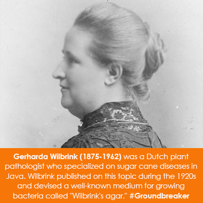 Gerharda Wilbrink (1875-1962) was a Dutch plant pathologist who specialized on sugar cane diseases i