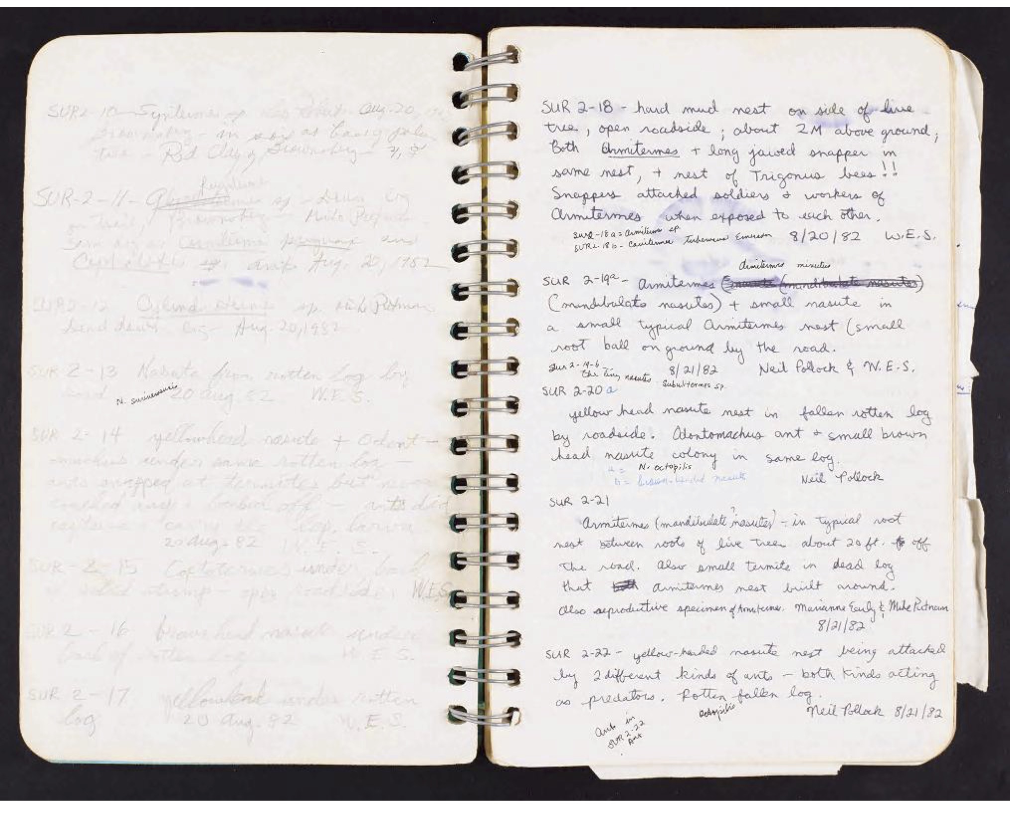 Handwritten page from Collins' field book. Only the left page is filled out. 