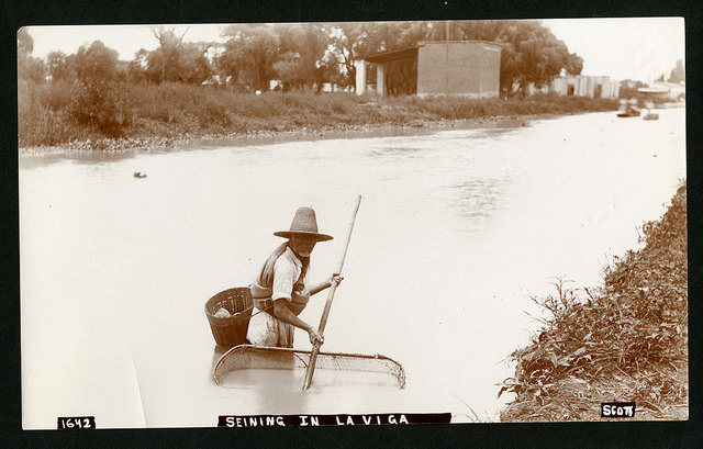 1642. Seining in La Viga, near city of Mexico, 1890-1910, SIA2014-03153.