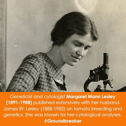 Geneticist and cytologist Margaret Mann Lesley (1891-1988) published extensively with her husband James W. Lesley (1888-1982) on tomato breeding and genetics. She was known for her cytological analyses.