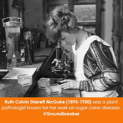 Ruth Colvin Starrett McGuire (1893-1950) was a plant pathologist known for her work on sugar cane di