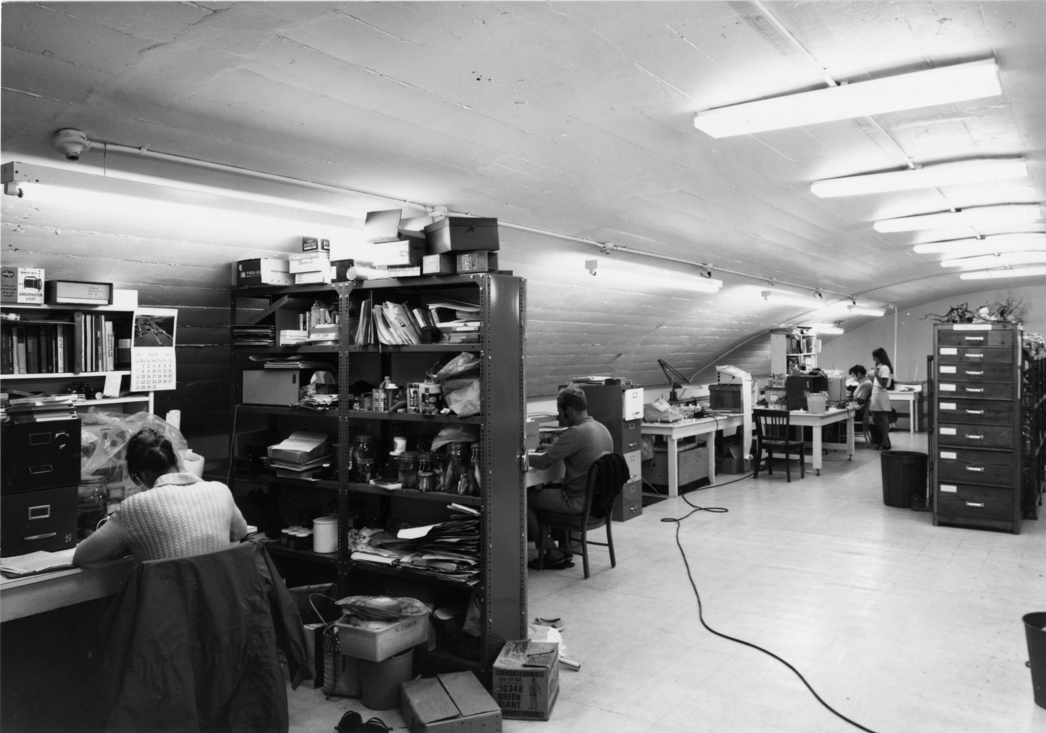 People sit at desks in a lab area with jars of specimens on shelves. Men and women are pictured.