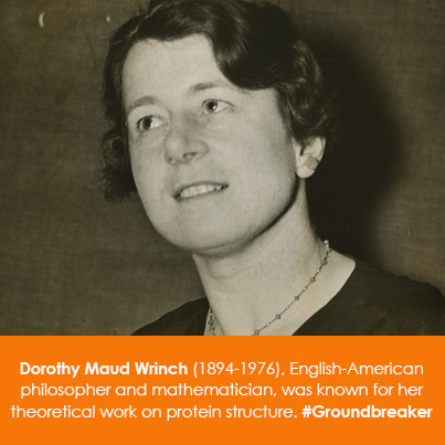 Dorothy Maud Wrinch (1894-1976), philosopher and mathematician, was known for her theoretical work o