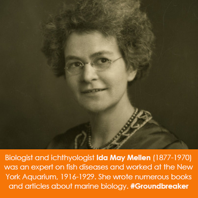 Biologist and ichthyologist Ida May Mellen (1877-1970) was an expert on fish diseases and worked at the New York Aquarium, 1916-1929. She wrote numerous books and articles about marine biology. 