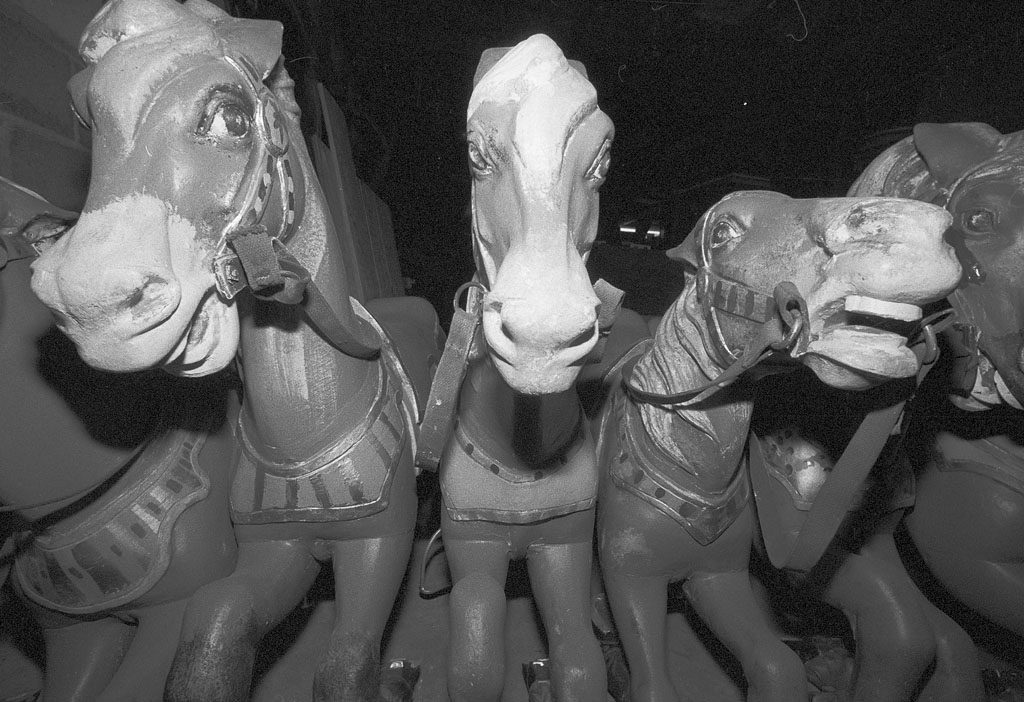 Horses for the New Carousel on the Mall