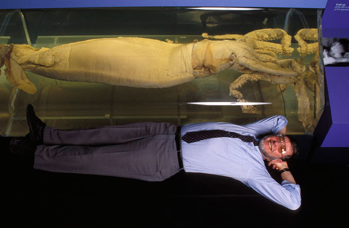 Zoologist Clyde Roper poses next to a giant squid.