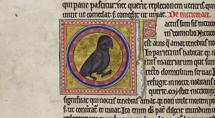 Medieval image of black bird with on gold background.