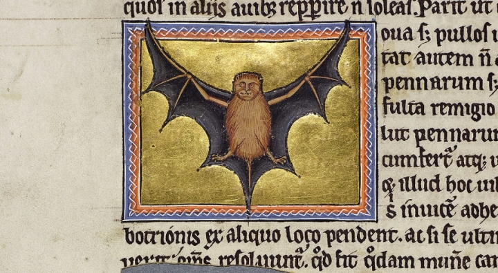 Image from Aberdeen Bestiary