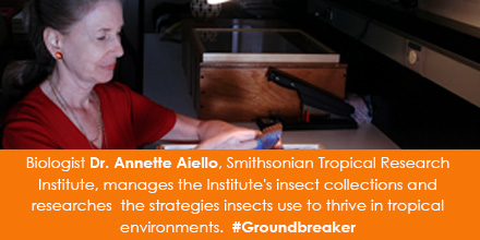 Biologist Dr. Annette Aiello, Smithsonian Tropical Research Institute, manages the Institute's insect collections and researches the strategies insects use to thrive in tropical environments. #Groundbreaker