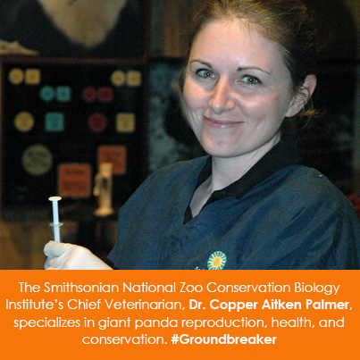 The Smithsonian National Zoo, Conservation Biology Institute's Chief Veterinarian, Dr. Copper Aitken