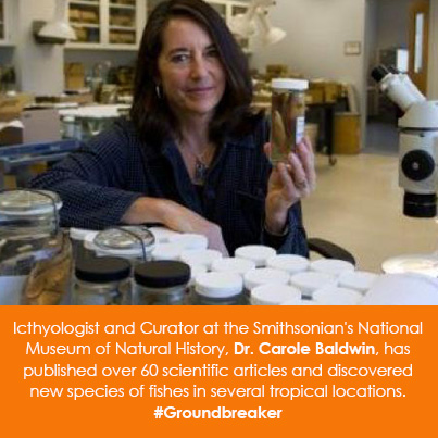 Icthyologist and Curator at the Smithsonian's National Museum of Natural History, Dr. Carole Baldwin, has published over 60 scientific articles and discovered new species of fishes in several tropical locations. #Groundbreaker