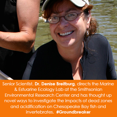 Senior Scientist, Dr. Denise Breitburg, directs the Marine & Estuarine Ecology Lab at the Smithsonia