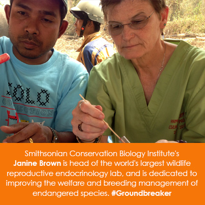 Smithsonian Conservation Biology Institute's Janine Brown is head of the world's largest wildlife re