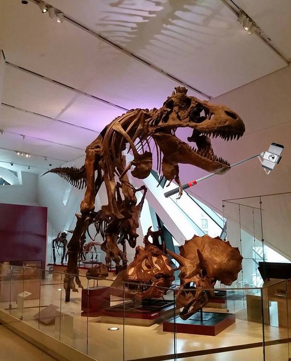 T-rex selfie from Royal Ontario Museum.