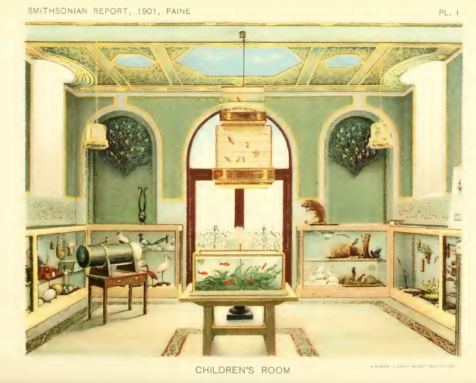 An illustration of the Children’s Room in the Smithsonian Castle. Annual Report of the Board of Regents of the Smithsonian Institution, 1901. Smithsonian Libraries. 