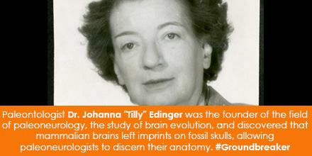 Paleontologist Dr. Johanna "Tilly" Edinger was the founder of the field of paleoneurology, the study