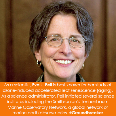 As a scientist, Eva J. Pell is best known for her study of ozone-induced accelerated leaf senescence