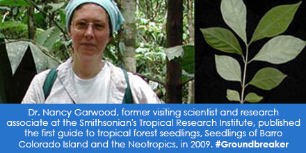 Photo of Dr. Garwood in the tropical forest alongside image of tree seedling