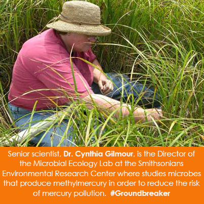 Senior scientist, Dr. Cynthia Gilmour, is the Director of the Microbial Ecology Lab at the Smithsonians Environmental Research Center where studies microbes that produce methylmercury in order to reduce the risk of mercury pollution. #Groundbreaker 