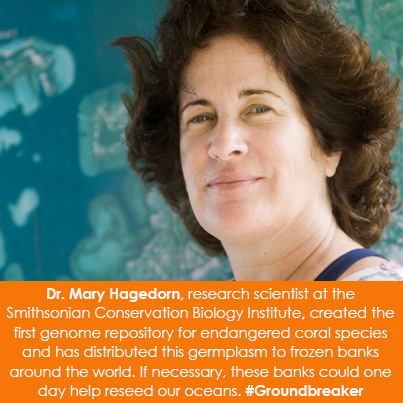 Dr. Mary Hagedorn, research scientist at the Smithsonian Conservation Biology Institute, created the first genome repository for endangered coral species and has distributed this germplasm to frozen banks around the world. If necessary, these banks could one day help reseed our oceans. #Groundbreaker