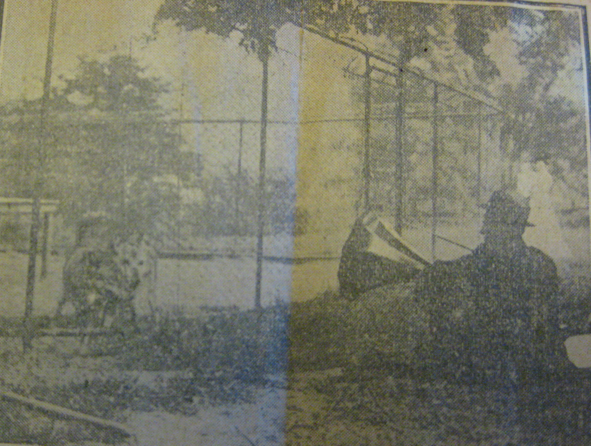 This image is found in Record Unit 74 - National Zoological Park, Records, 1887-1966 - Box 287, Smithsonian Institution Archives. The photograph was taken by Harris-Ewing photography services. The Library of Congress contains the Harris-Ewing Collection, but neither the librarians nor I have been able to find the original among the collection’s 50,000 entries.