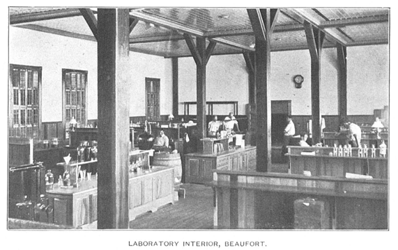 Laboratory Interior, Beaufort, 1904, by Unknown photographer.
