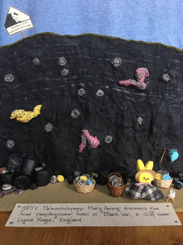 Female peep with plaid cape standing on seashore surrounded by fossils with black cliff and blue sky. 