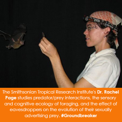 The Smithsonian Tropical Research Institute's Dr. Rachel Page studies predator/prey interactions, the sensory and cognitive ecology of foraging, and the effect of eavesdroppers on the evolution of their sexually advertising prey. #Groundbreaker 