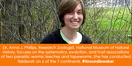 Dr. Anna J. Phillips, Research Zoologist, National Museum of Natural History, focuses on the systema