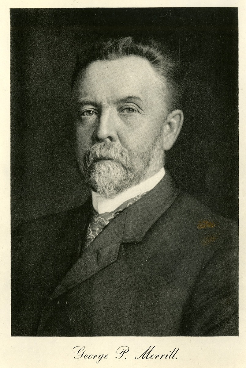 Portrait of a man with a full beard. He is middle-aged. He's looking directly into the camera. Georg