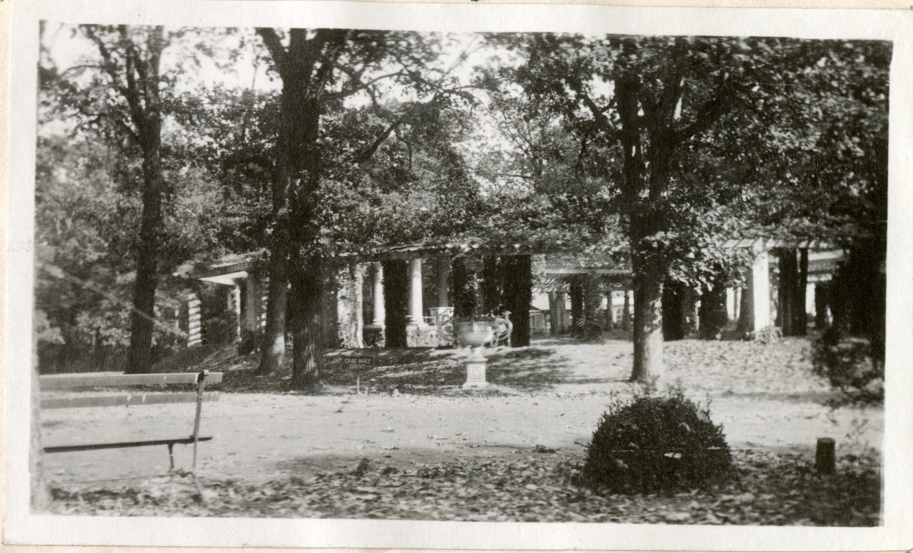 View of cemetery grounds. 