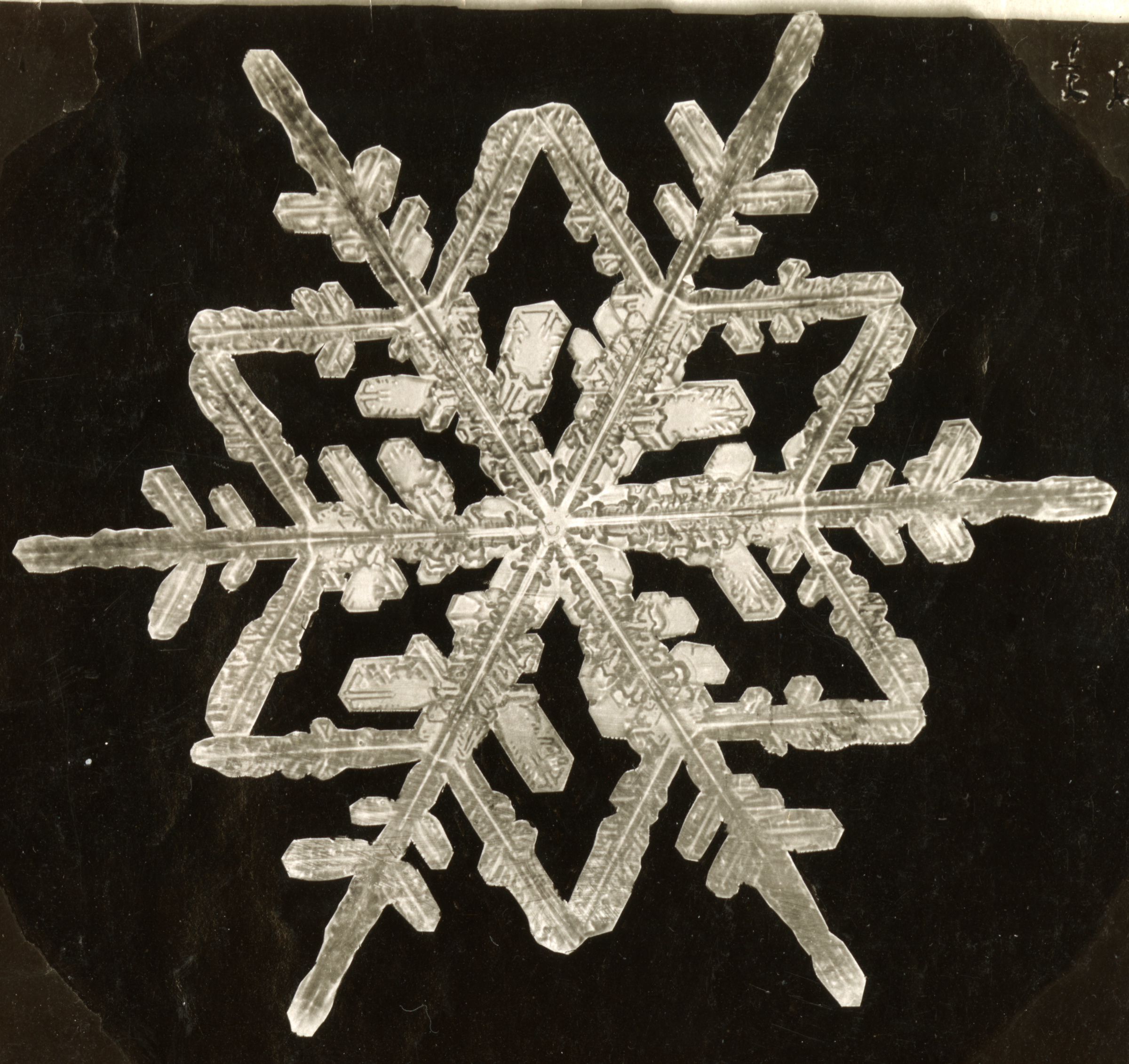 Snowflake with six, star points and six longer pointers out.