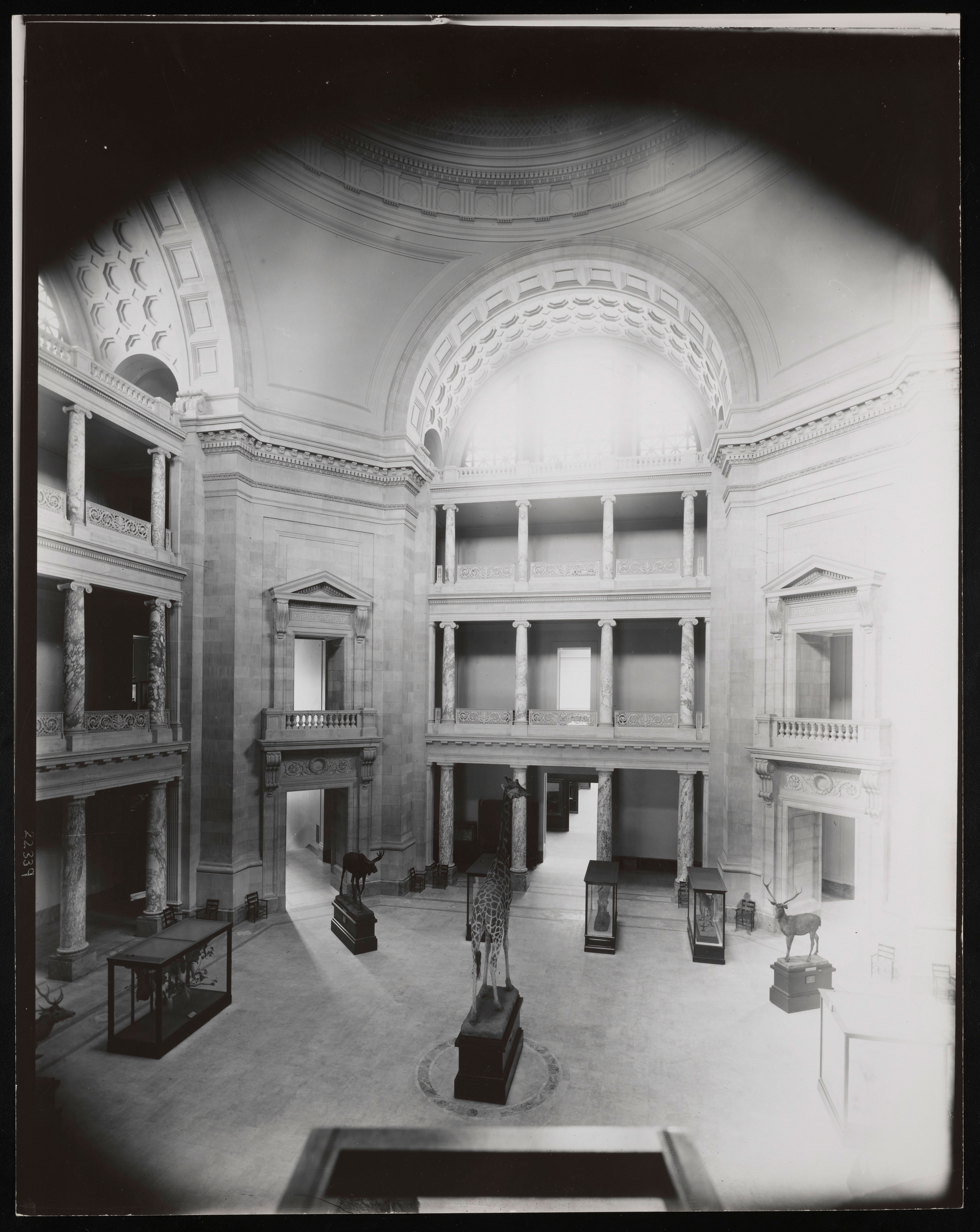 Rotunda of the United States National Museum Natural History Building, now known as National Museum of Natural History, 1913.