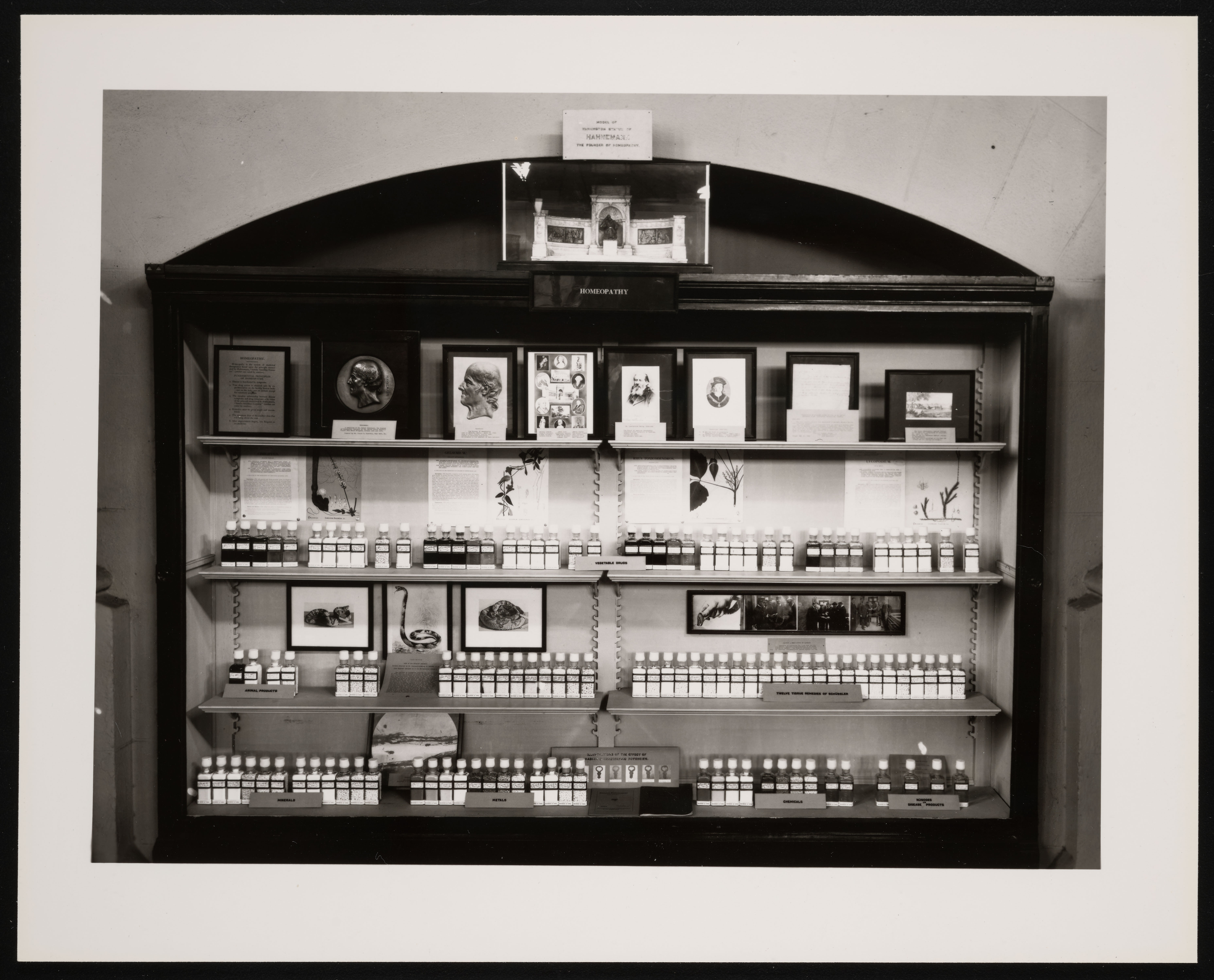 Homeopathy exhibit showing its history, methods, and remedies, installed in the Hall of Health in the United States National Museum, now known as the Arts and Industries Building, in 1929.