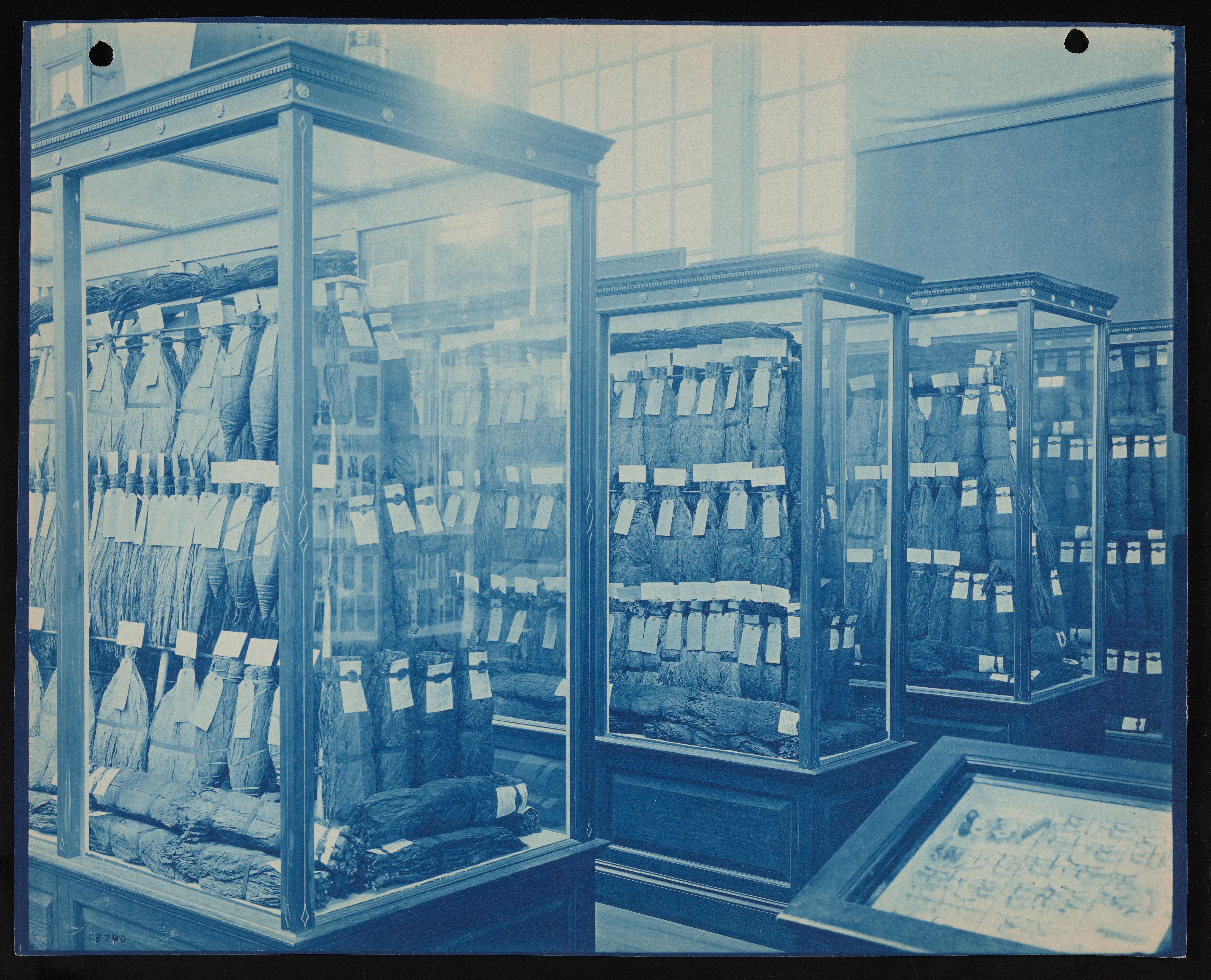 Cyanotype, Department of Agriculture exhibit at the Pan-American Exposition, Buffalo, New York, 1901.