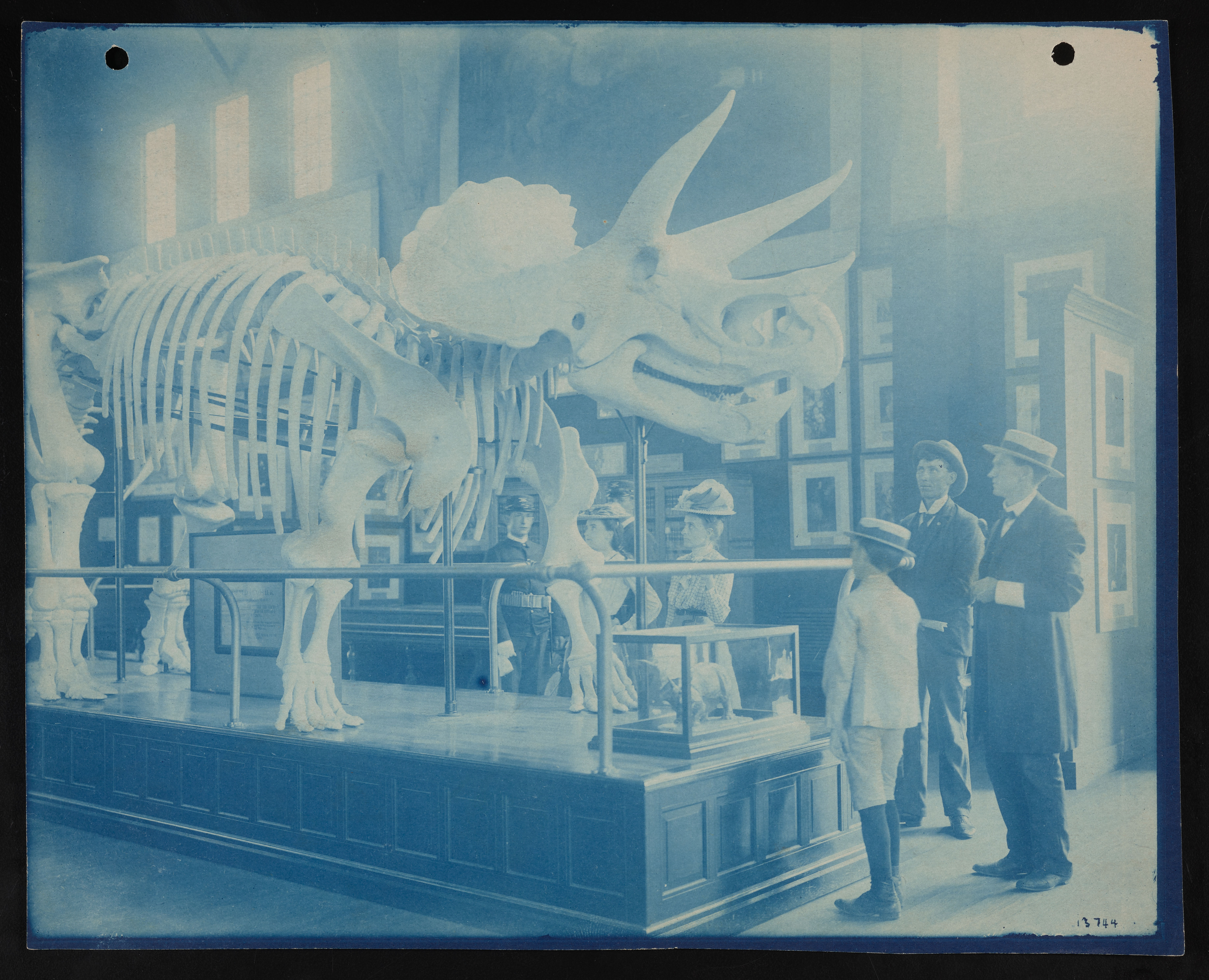 Visitors view a papier mache replica of a Triceratops skeleton at the Pan-American Exposition in Buffalo, New York, 1901.