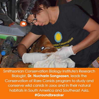 Smithsonian Conservation Biology Institute's Research Biologist, Dr. Nucharin Songsasen, leads the C