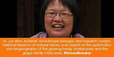 Dr. Jun Wen, botanist, evolutionary biologist and research curator, National Museum of Natural History, is an expert on the systematics and biogeography of the ginseng family (Araliaceae) and the grape family (Vitaceae). #Groundbreaker