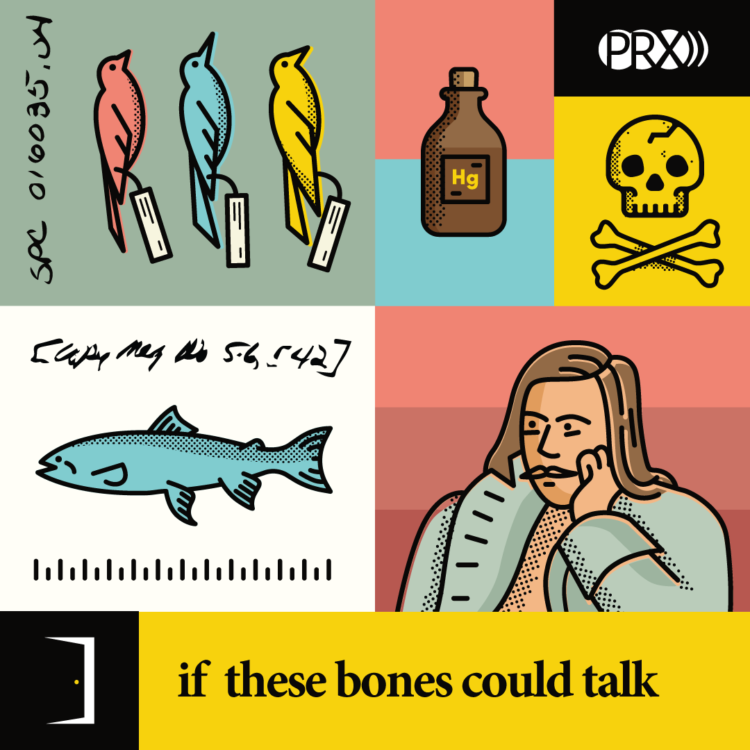 Sidedoor Season 2: if these bones could talk 