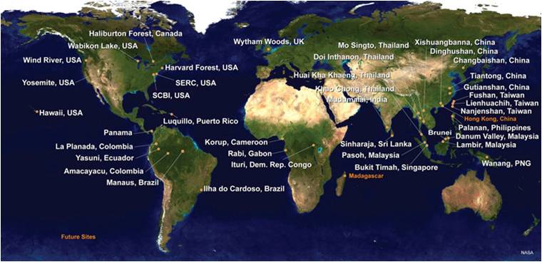 A worldwide map of the Center for Tropical Forest Science's (CTFS) multi-institutional network.