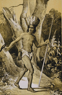 Drawing of native man from the Amazon region wearing a headdress