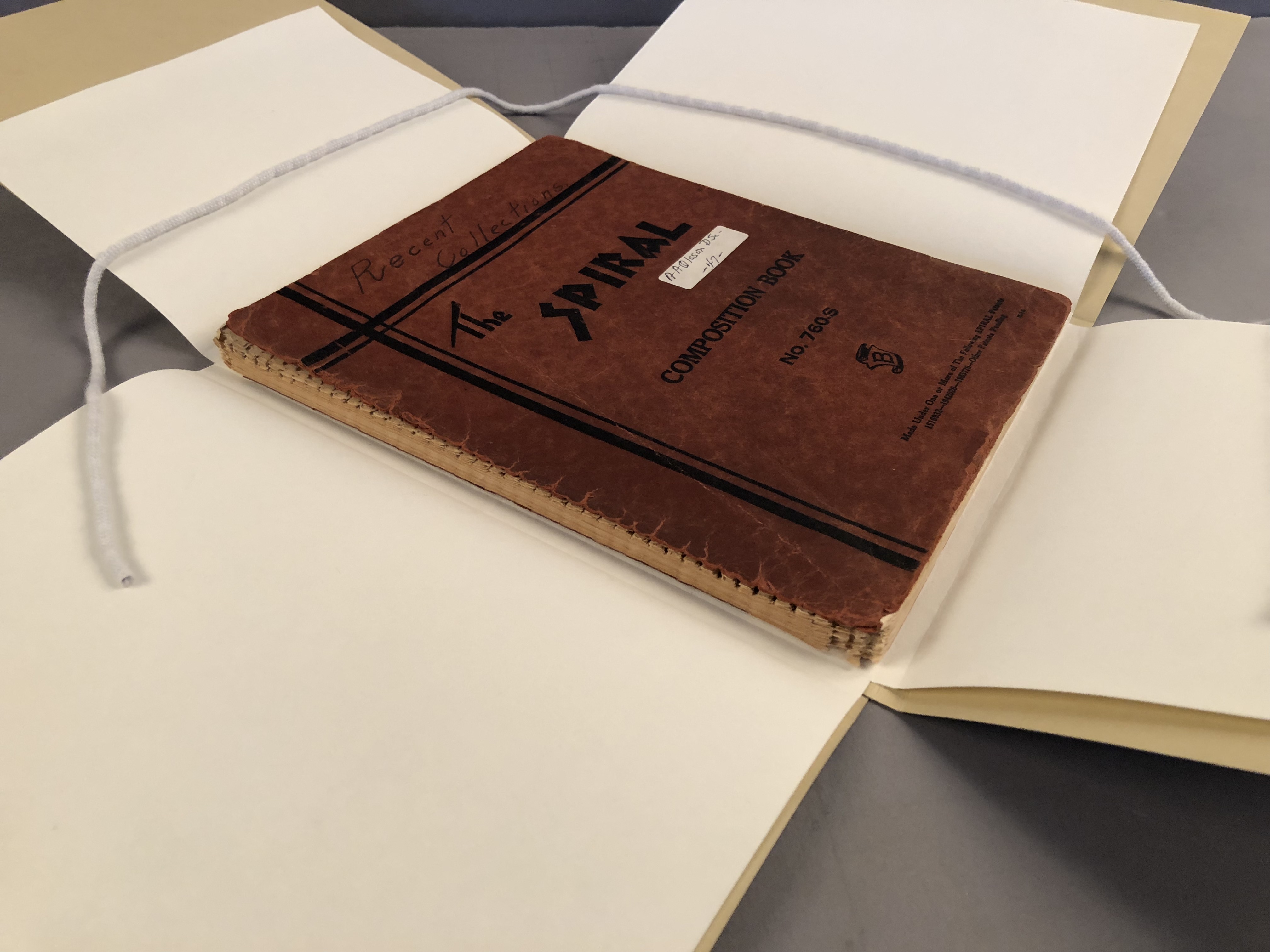 Archival notebook in open archival housing.