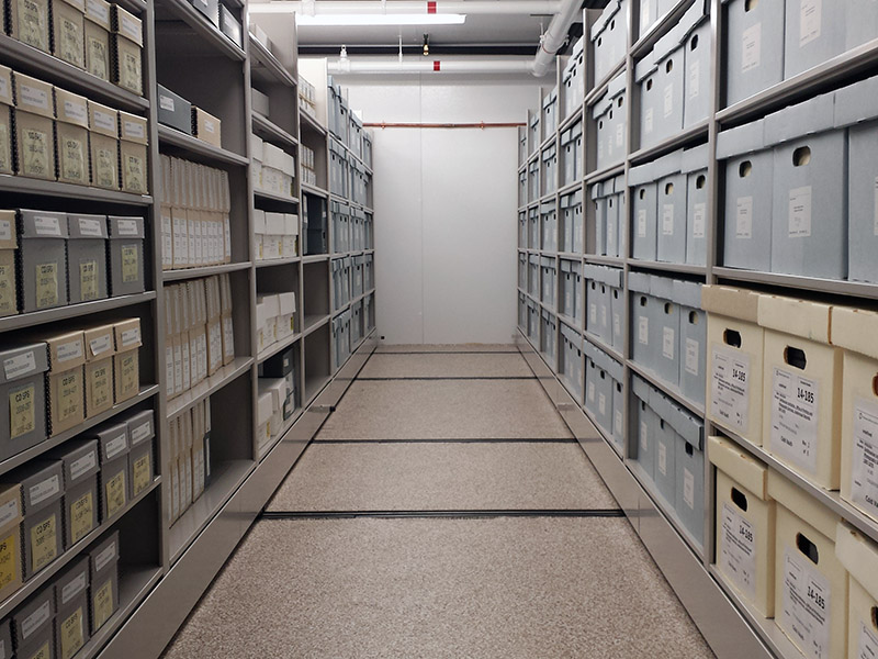 Color photo of three staff members standing in the collections processing lab